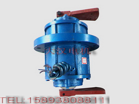 0.75KW振動電機(jī) 0.75KW振動電機(jī)