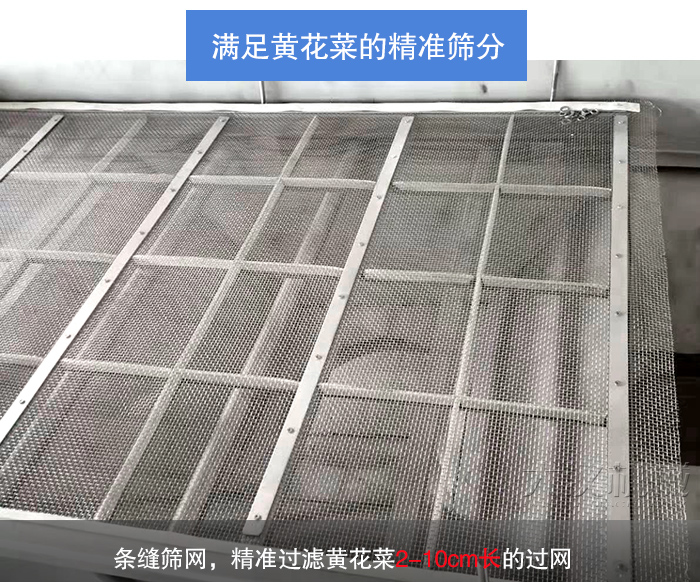 黃花菜直線振動(dòng)篩